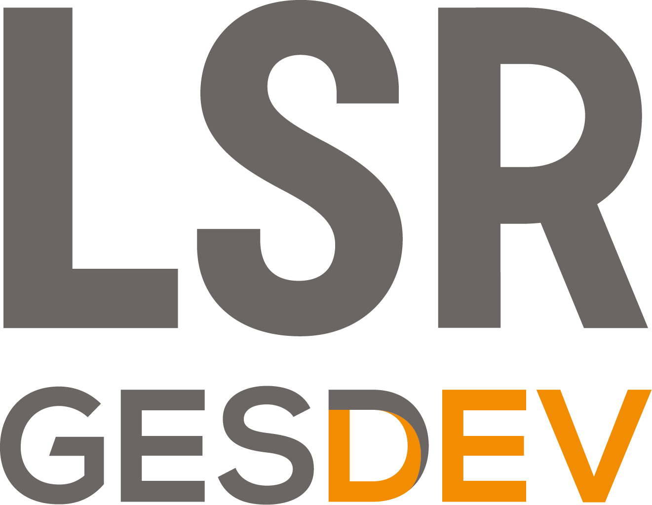 Logo - LSR gesdev